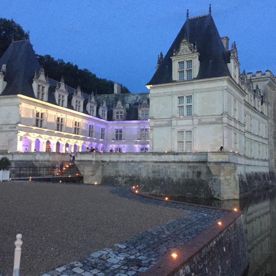 Chambre D'Hotes La Membrolle-sur-Choisille Zewnętrze zdjęcie