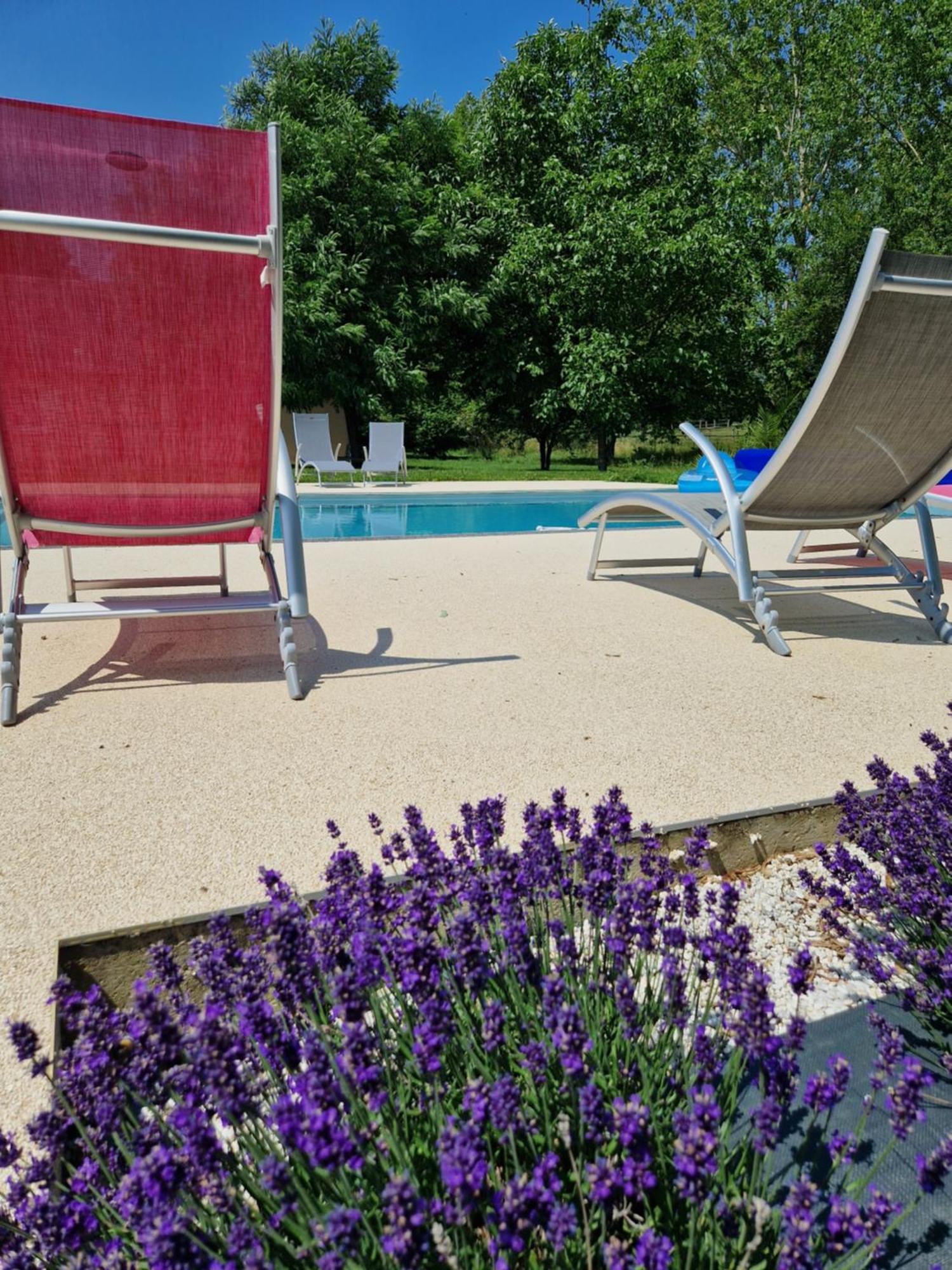 Chambre D'Hotes La Membrolle-sur-Choisille Zewnętrze zdjęcie
